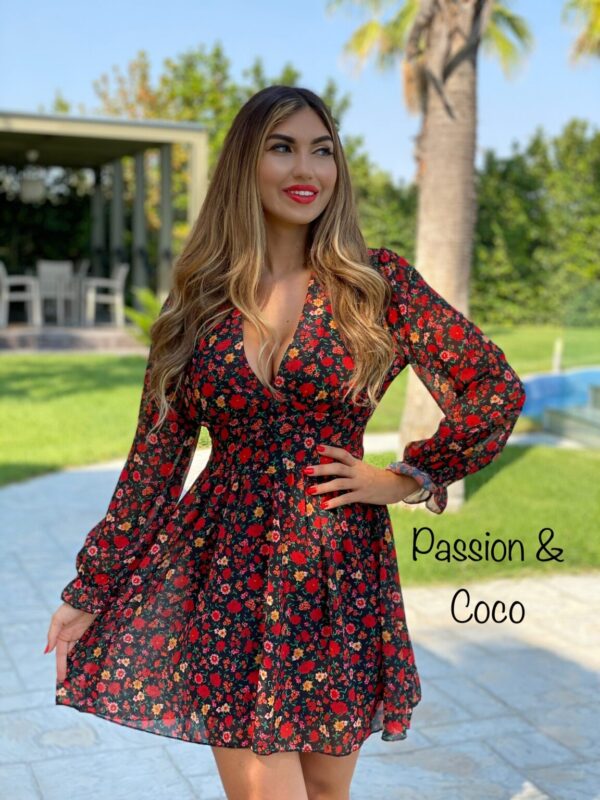 Passionandcoco-dress-floral-red